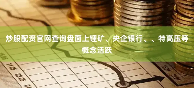 炒股配资官网查询盘面上锂矿、央企银行、、特高压等概念活跃