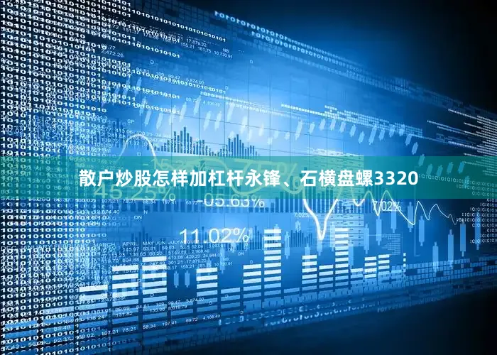 散户炒股怎样加杠杆永锋、石横盘螺3320