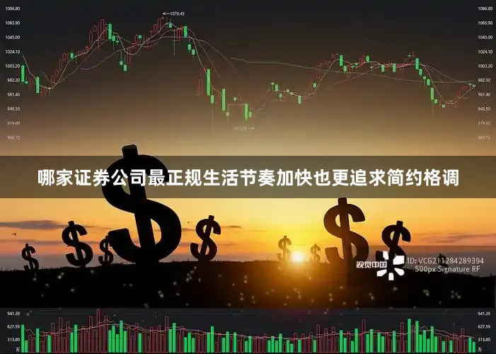 哪家证券公司最正规生活节奏加快也更追求简约格调